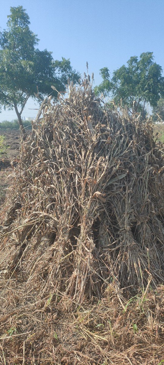 નિરણ વેચવાની છે