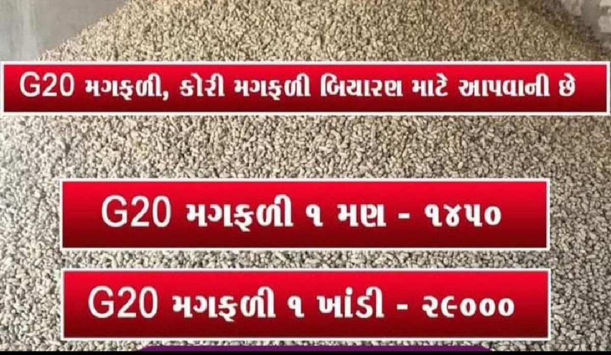મગફડી  G-20 15નો ઉતારો છે