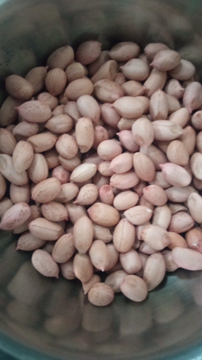 ગિરનાર 4 બિયારણ