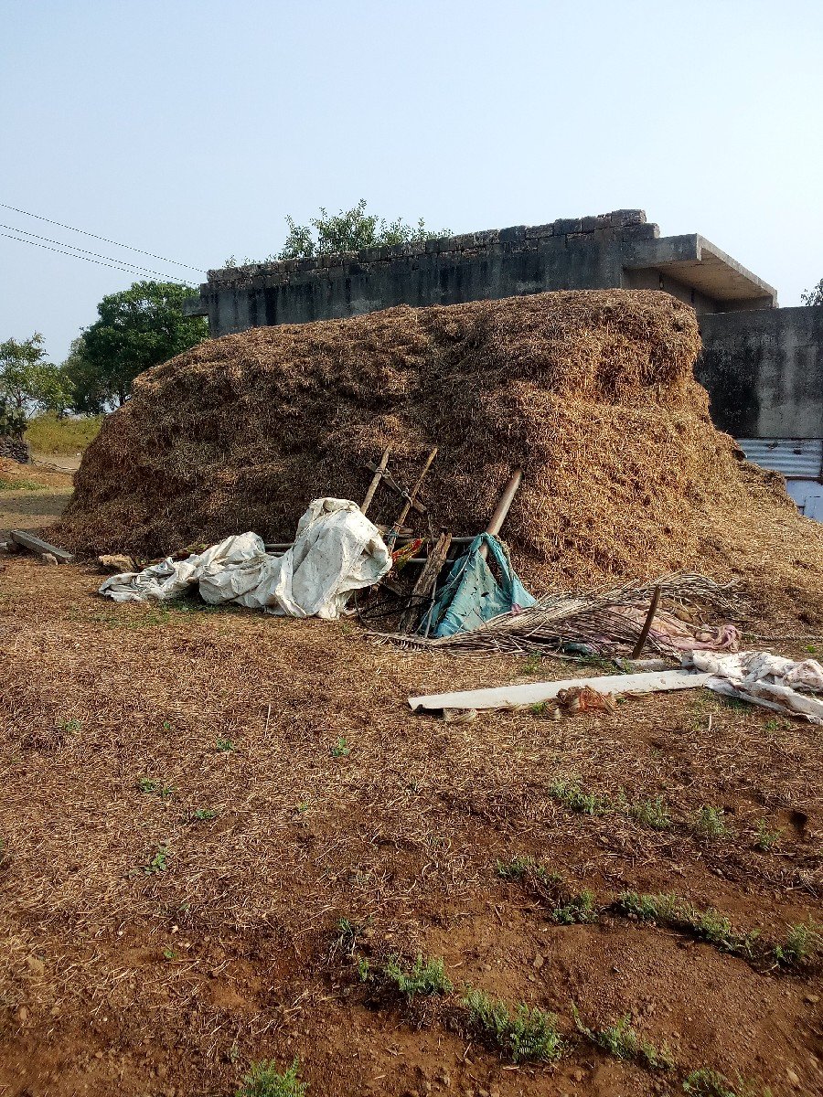 માંડવી યુ.વેશવાનુ.છે