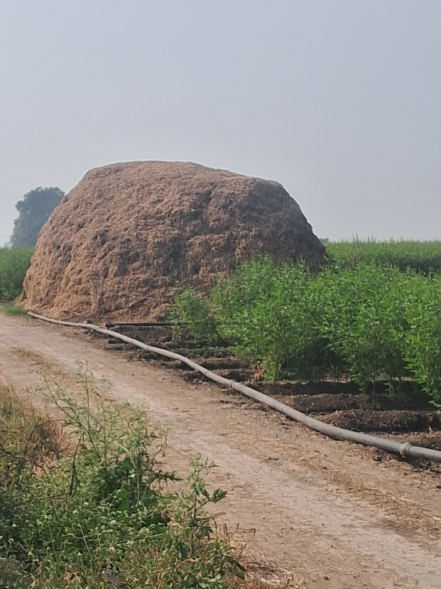 Mandvi no bhuko
