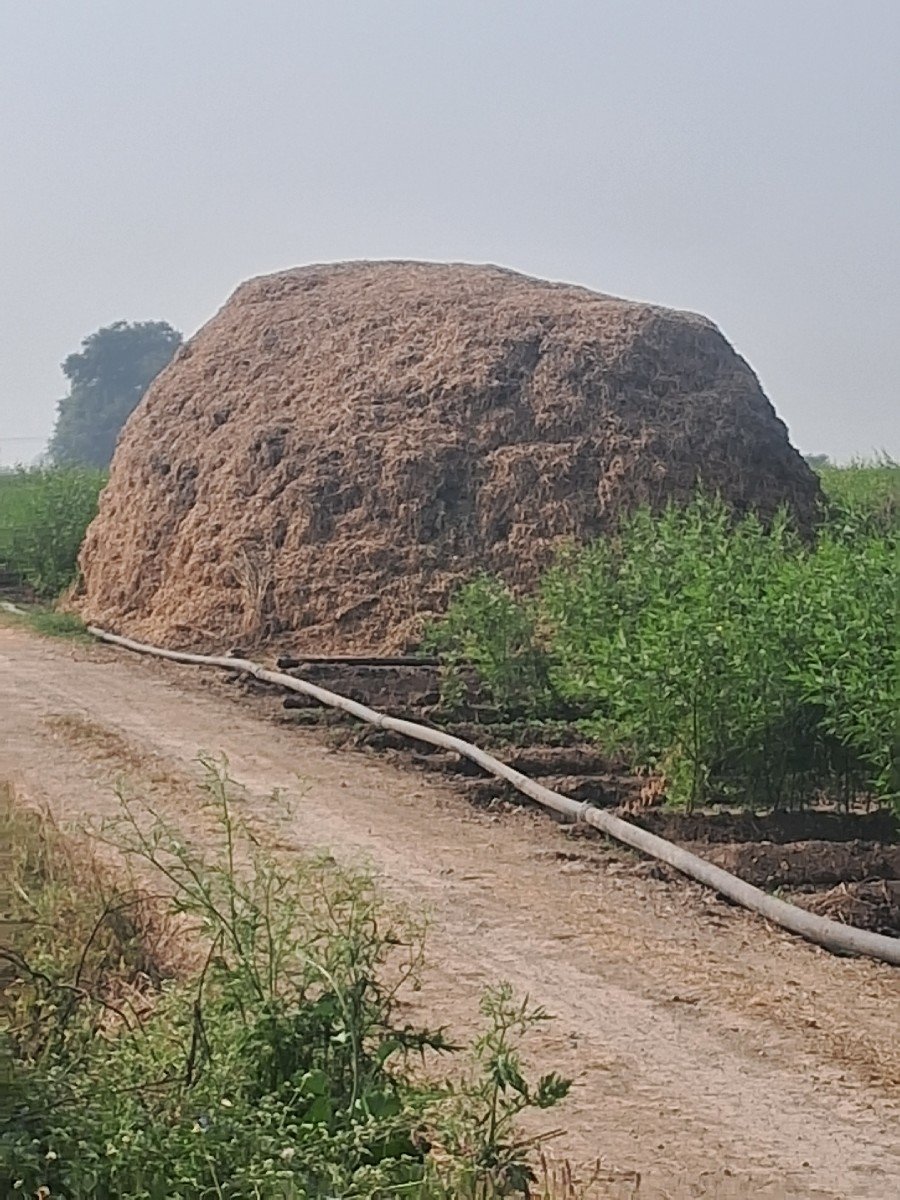 Mandvi no bhuko