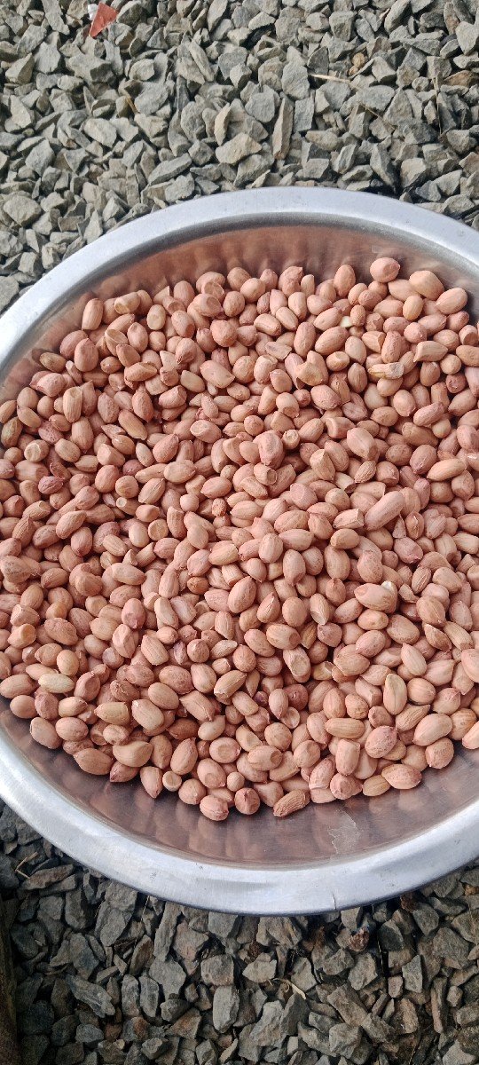 22 નબર માંડવી વેચવા ની 100