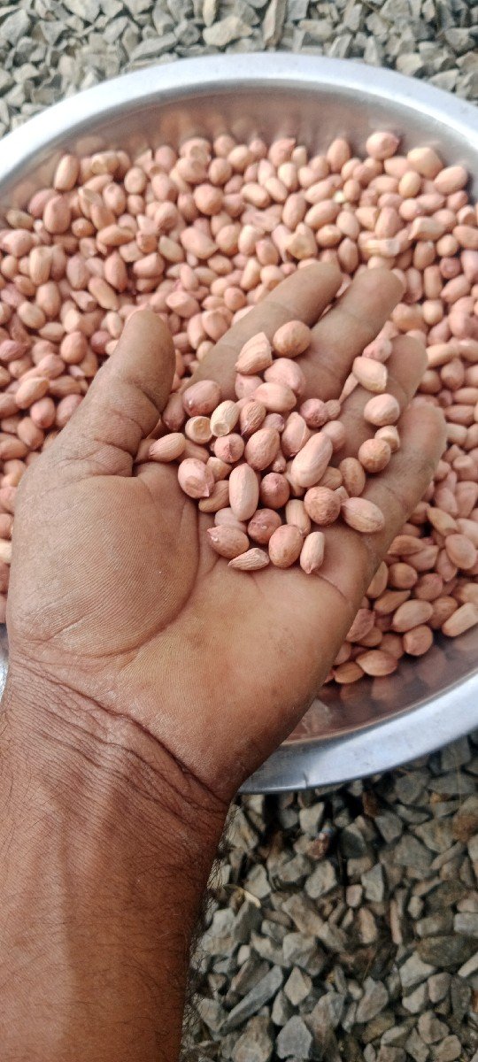 22 નબર માંડવી વેચવા ની 100
