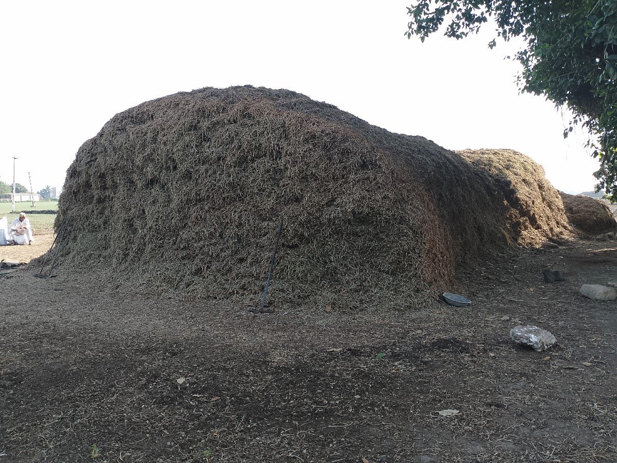 ભુકો વેચવાનો છે