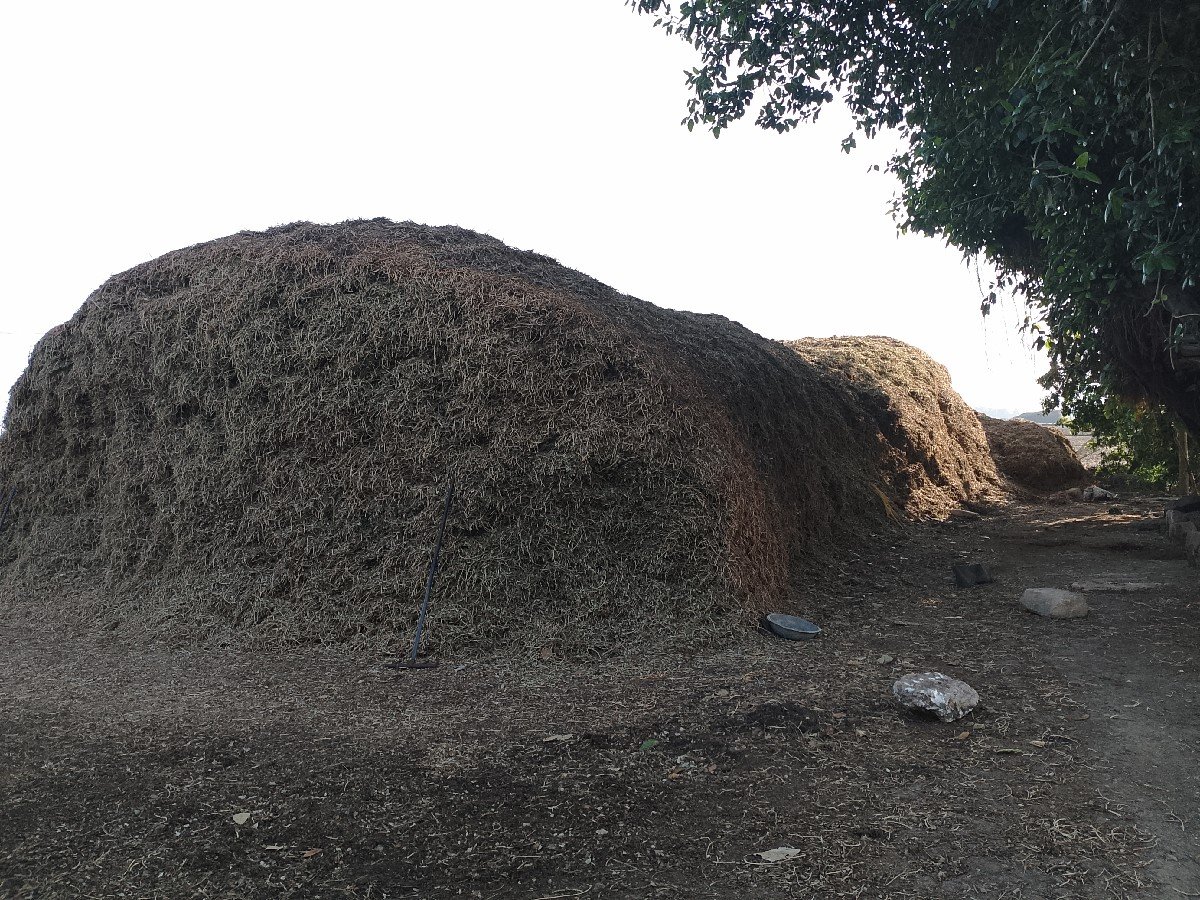 ભુકો વેચવાનો છે