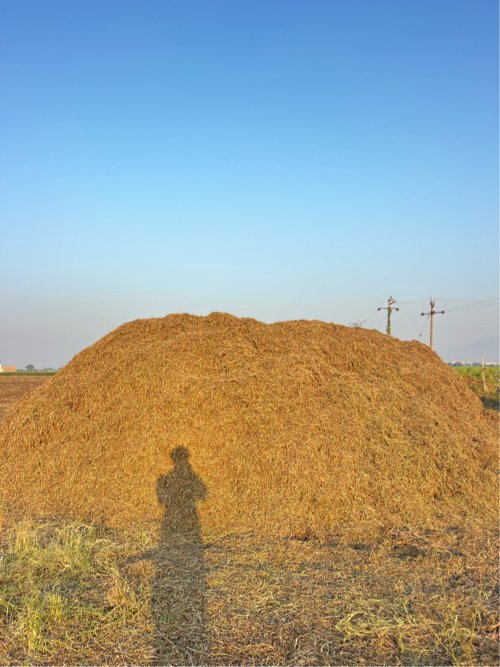 ભૂકો