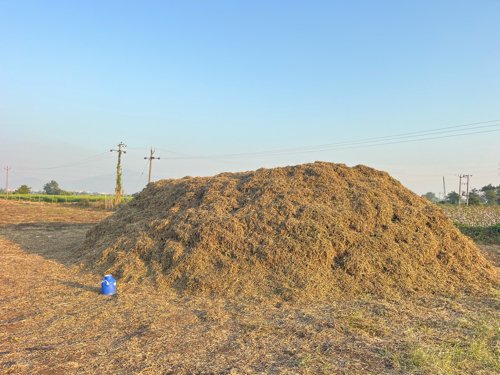 ભૂકો