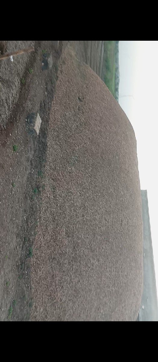 કોરો ભુકો