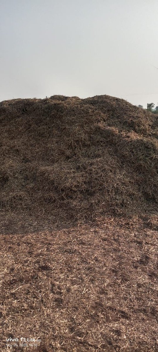 માંડવી નો ભૂકો વેચવા નો છે