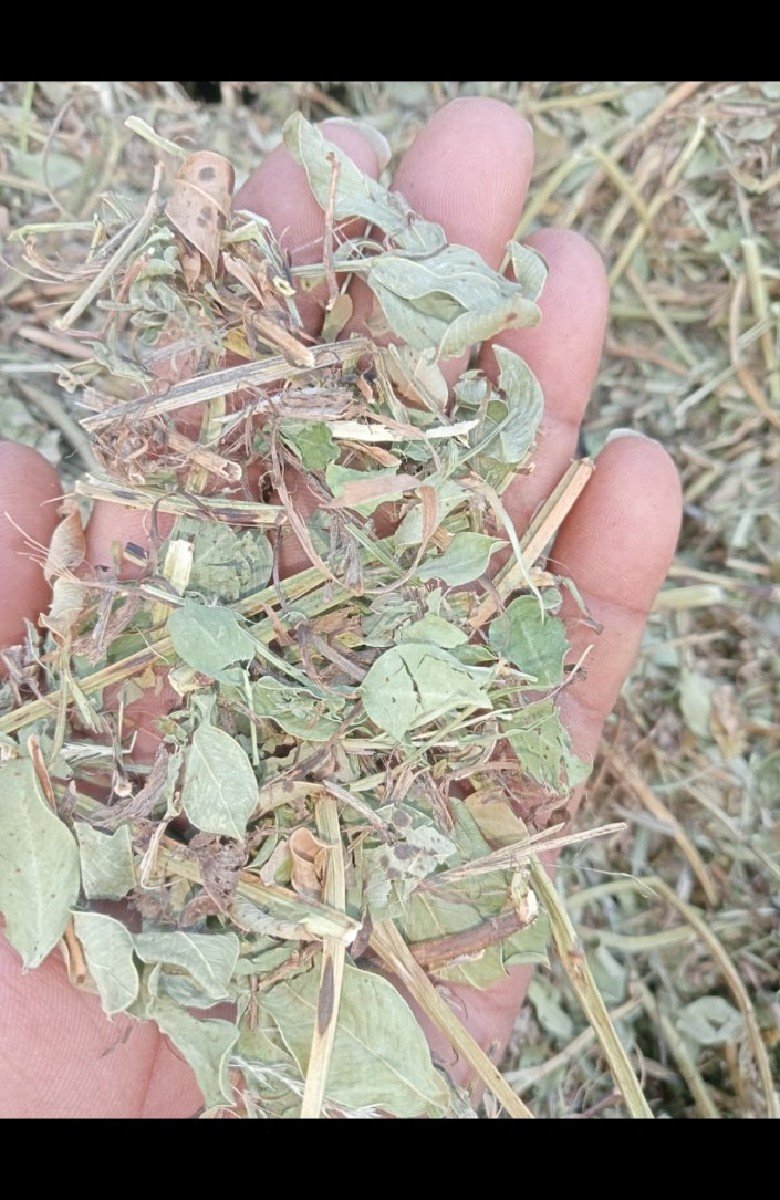 મગફળી , સોયાબીન નો ભૂકો
