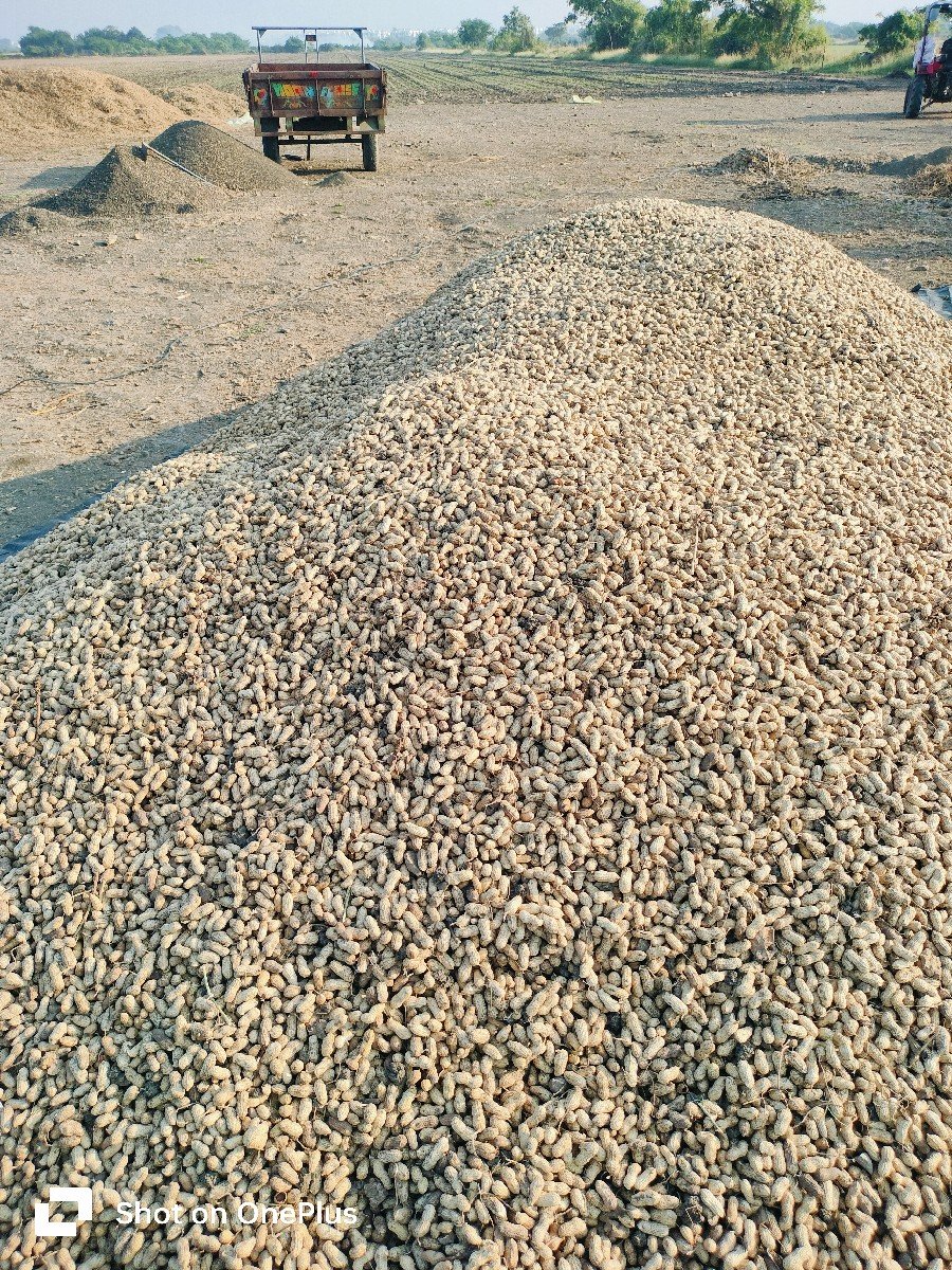 બિયારણ વેચવાનું છે.