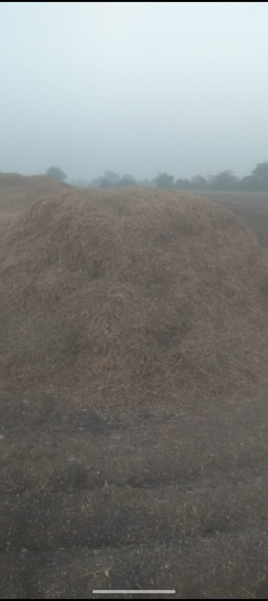 ભૂકો વેચવા નો છે 15 વીઘા