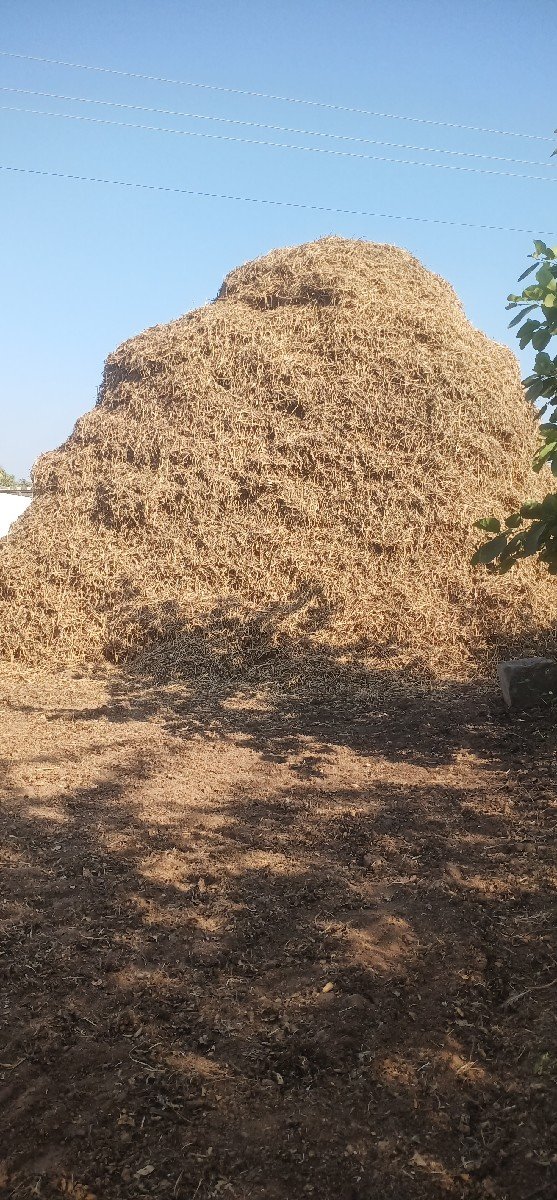 મગફળી નો ભૂકો