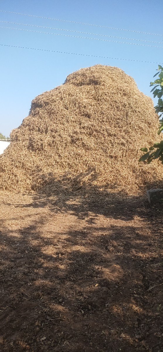 મગફળી નો ભૂકો