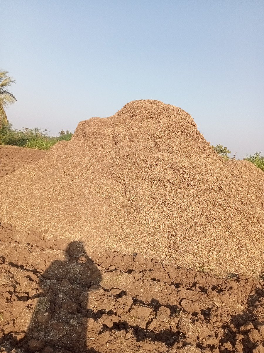 માંડવી નો પાલો વેચવાનો છે