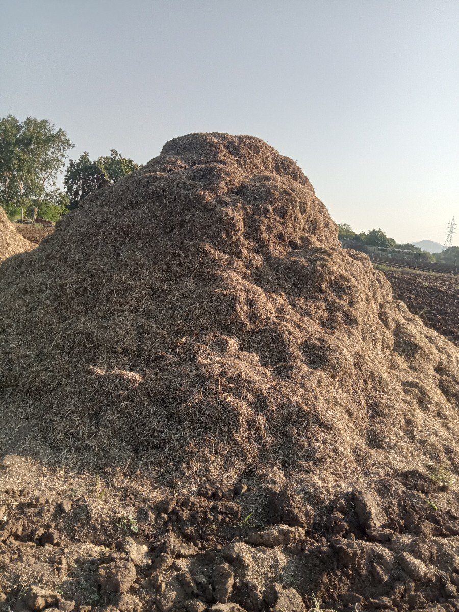 માંડવી નો પાલો વેચવાનો છે