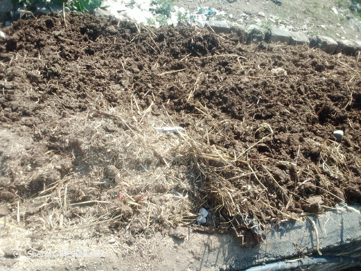 ખાતર ની સામે