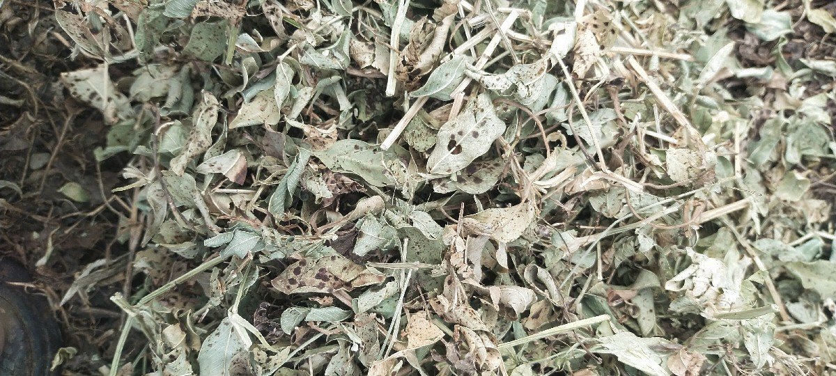 બધા પ્રકાર ના લેનાર તથા વહેચનાર
