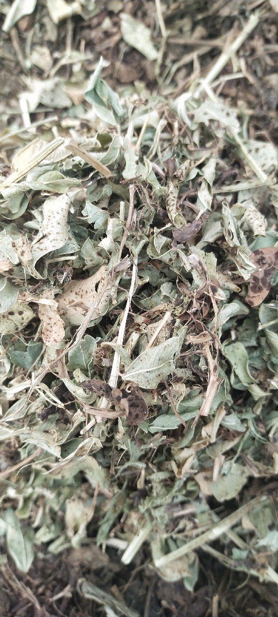 બધા પ્રકાર ના લેનાર તથા વહેચનાર