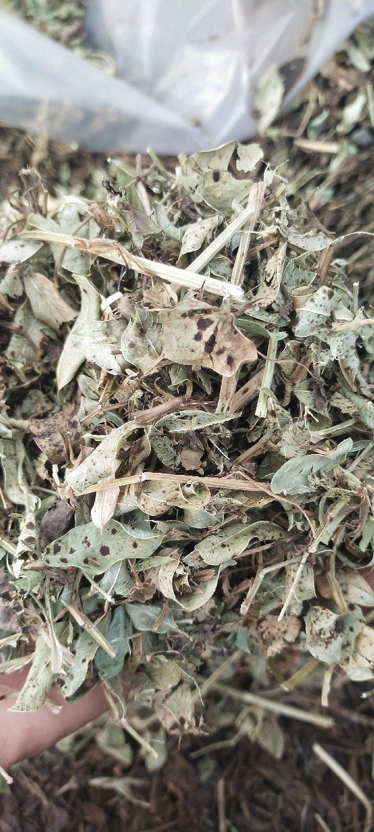 બધા પ્રકાર ના લેનાર તથા વહેચનાર