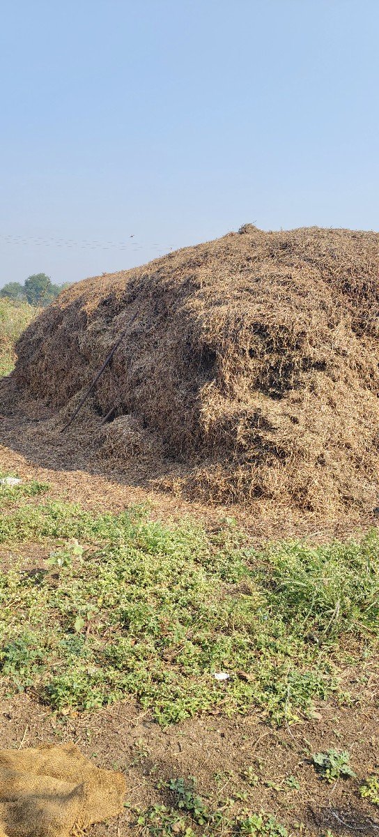 ભૂકો (પાલો) વેચવાનો છે