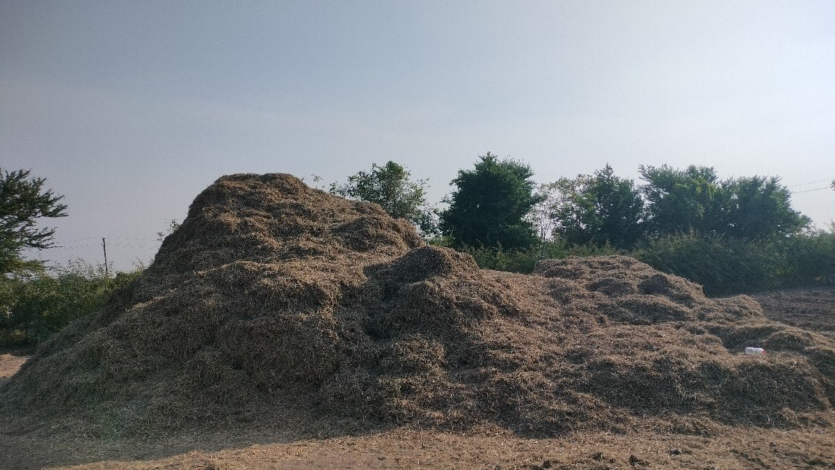 મગફળી ભૂકો વેચવાનો છે.. 25 વીઘાનો