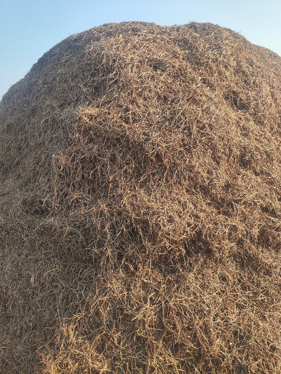 mugfali no chharo
