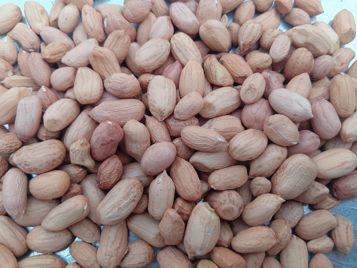 441 -મગફળી 
વેચવાની છે