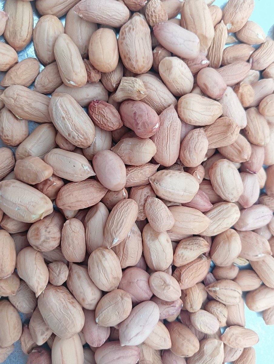 441 -મગફળી 
વેચવાની છે