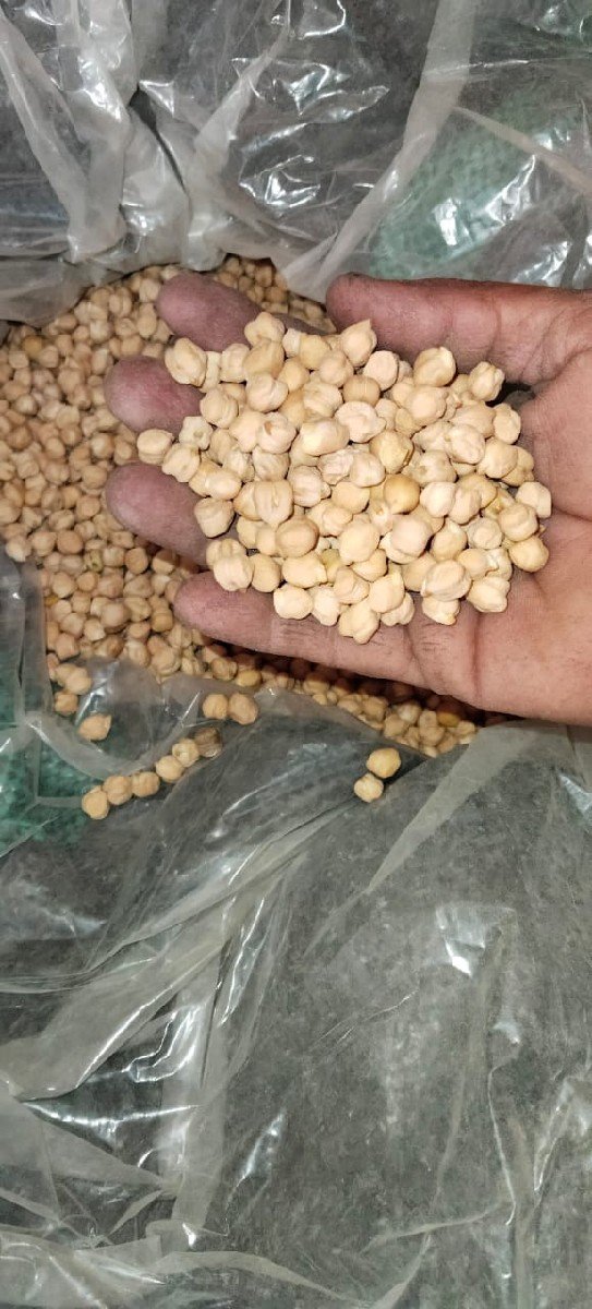 કરમુર અરજણભાઇ