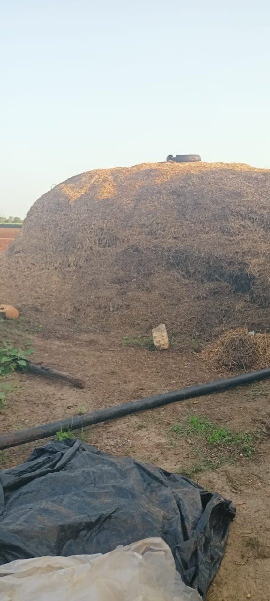 મગફળી નો ભુક્કો