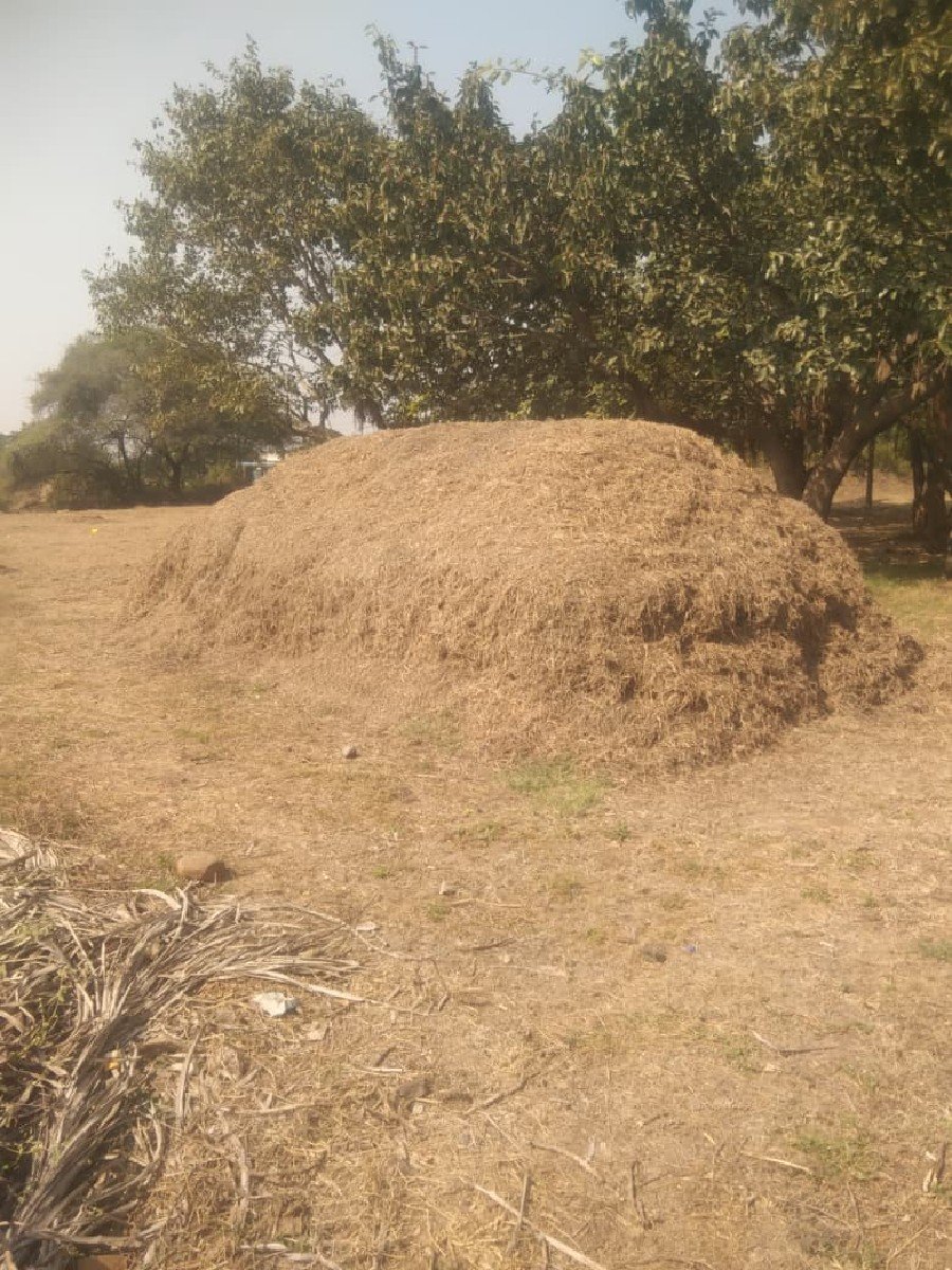 10 વીઘા નો સારો વેશવાનો છે