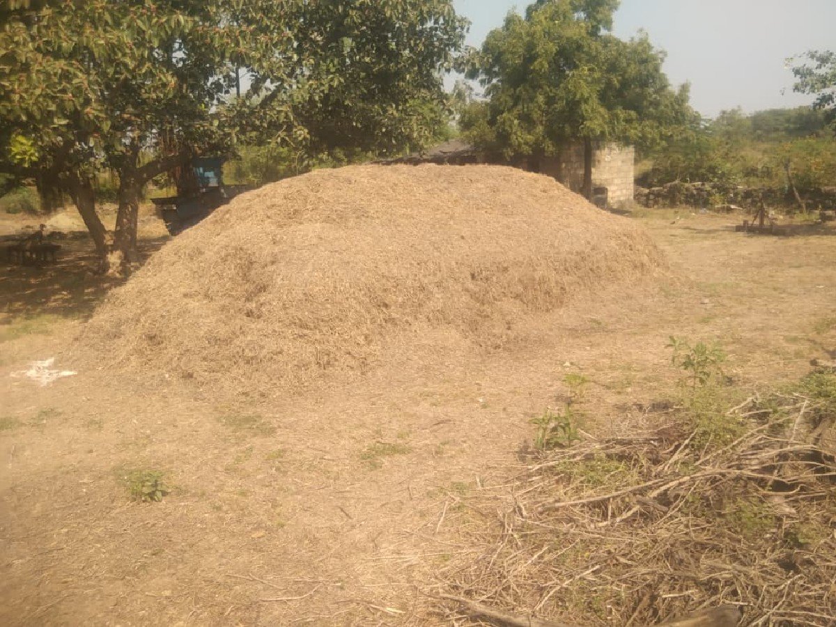 10 વીઘા નો સારો વેશવાનો છે