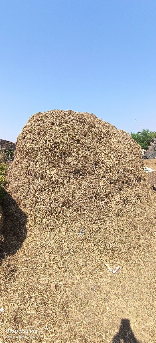 માંડવી નો ભૂકો વેચવાનો છે