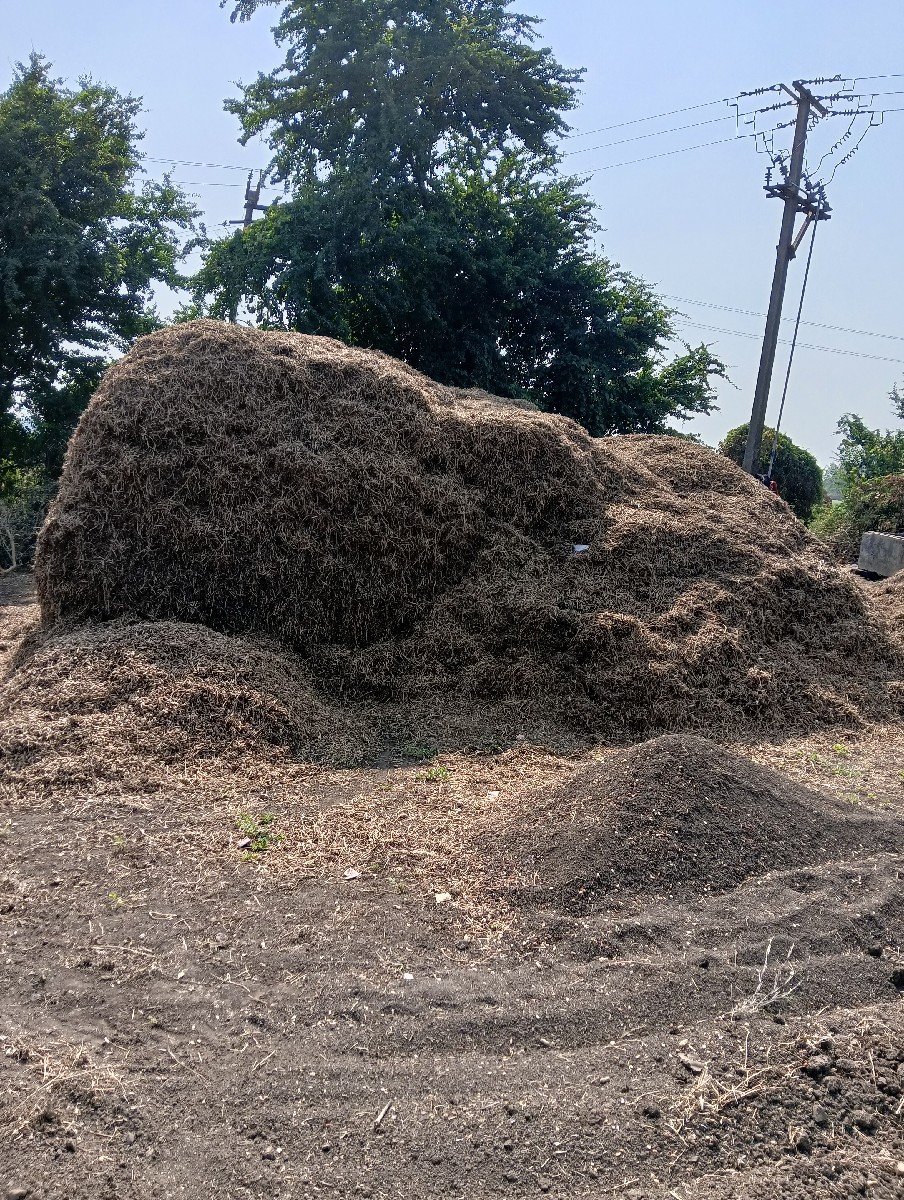 palo vesh vano se