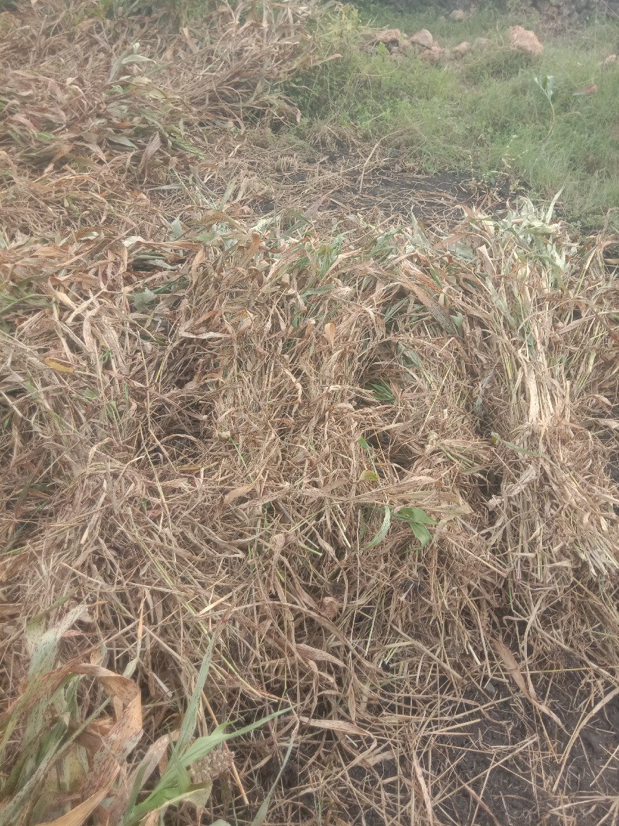 ચાર વેચવાની છે