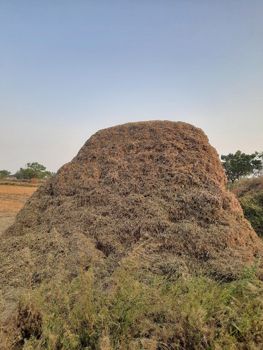 ભૂકો (પાલો) વેચવાનો છે