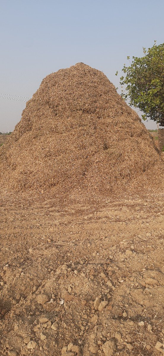 ભૂકો (પાલો) વેચવાનો છે