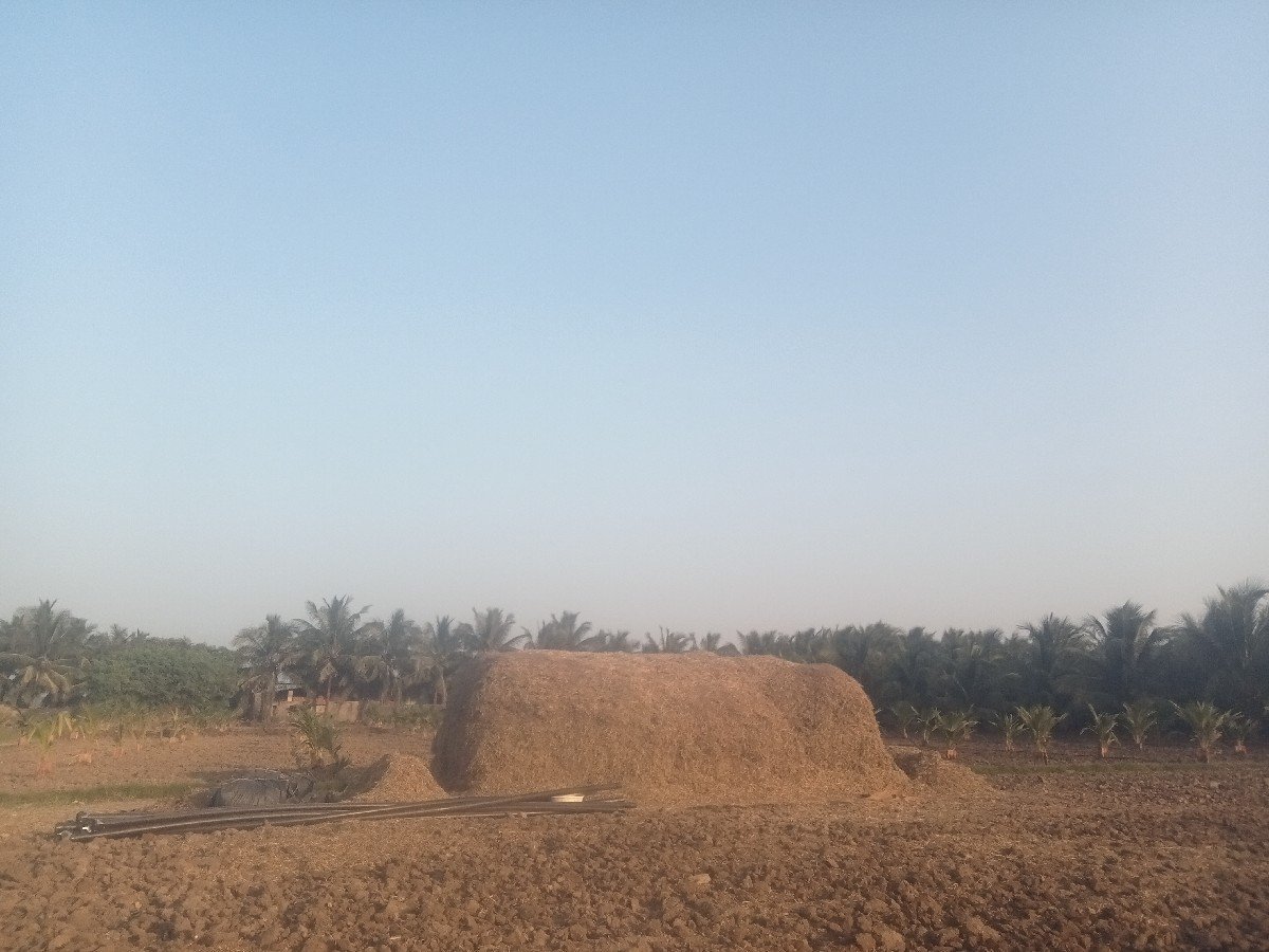 ભૂકો (પાલો) વેચવાનો છે