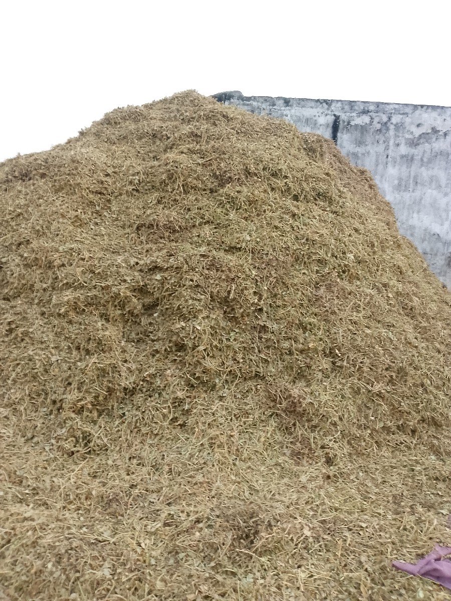 ભૂકો (પાલો) વેચવાનો છે