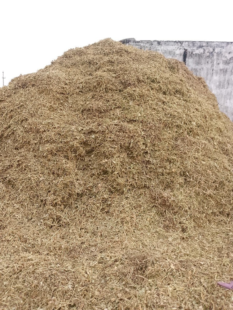 ભૂકો (પાલો) વેચવાનો છે
