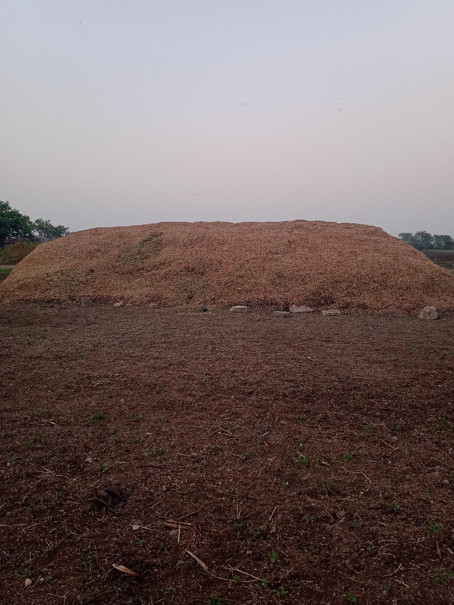 માડવિનો.ભુકો(સુકોપલરાવગરનો)