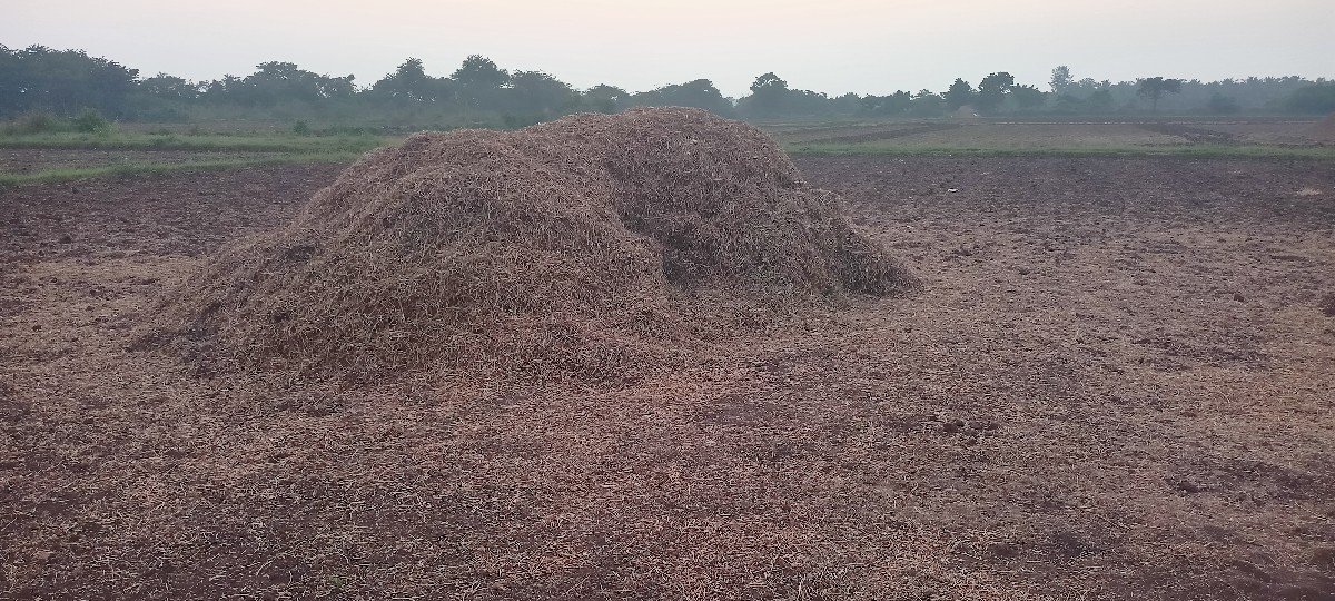 ભૂકો (પાલો) વેચવાનો છે