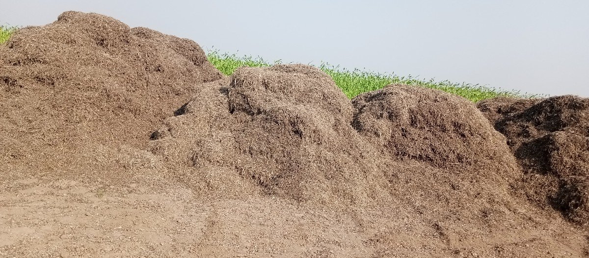 ભૂકો (પાલો) વેચવાનો છે