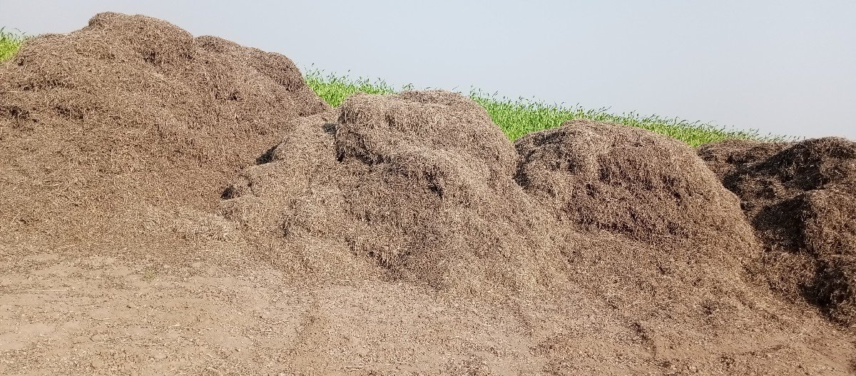 ભૂકો (પાલો) વેચવાનો છે