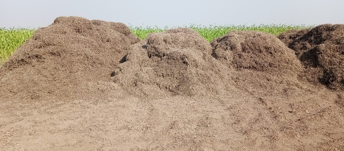 ભૂકો (પાલો) વેચવાનો છે