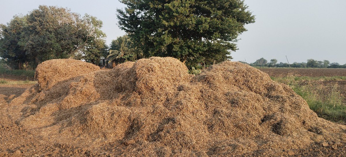 ભૂકો (પાલો) વેચવાનો છે