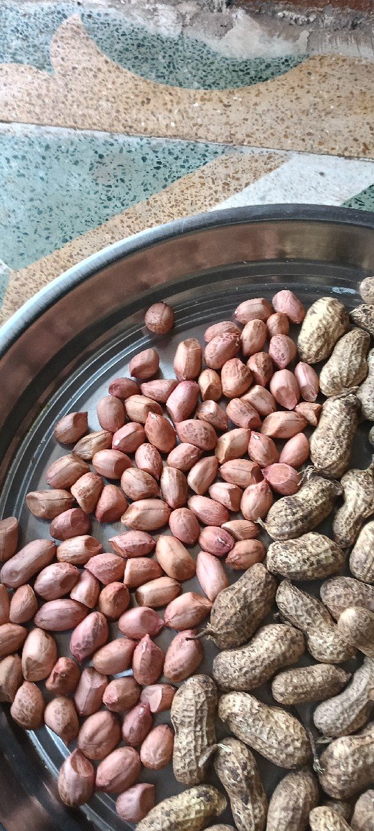 બીયારણ