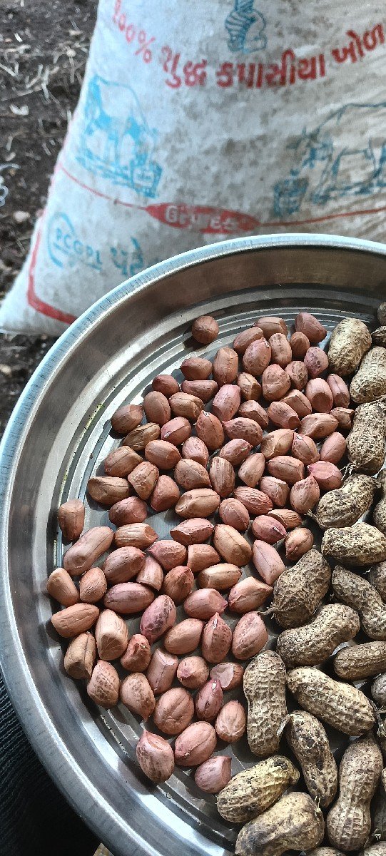 બીયારણ